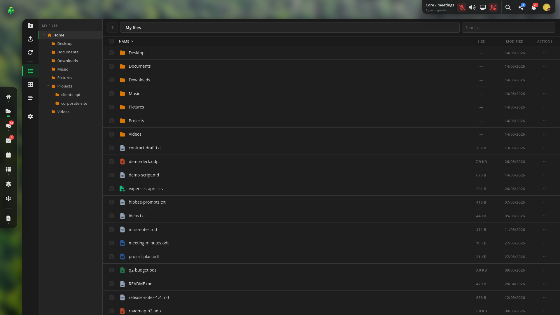 Files app screenshot
